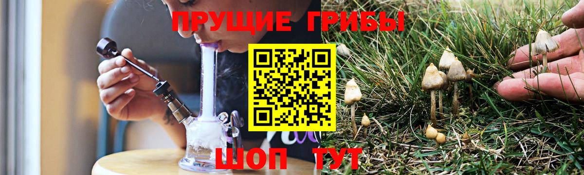 Галлюциногенные грибы Magic Shrooms Бузулук